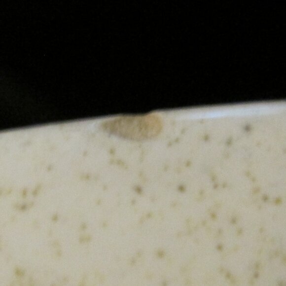 2 Vintage Franciscan Atomic Starburst Dinner Plates - Picture 5 of 7